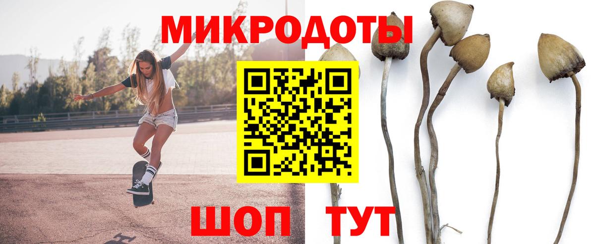 наркота  Псилоцибиновые грибы MAGIC MUSHROOMS  Псилоцибиновые грибы Cubensis  Вход с VPN  Артём 